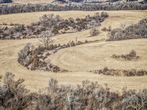 Buying Your First Iowa Acreage? 5 Hidden Costs to Budget For